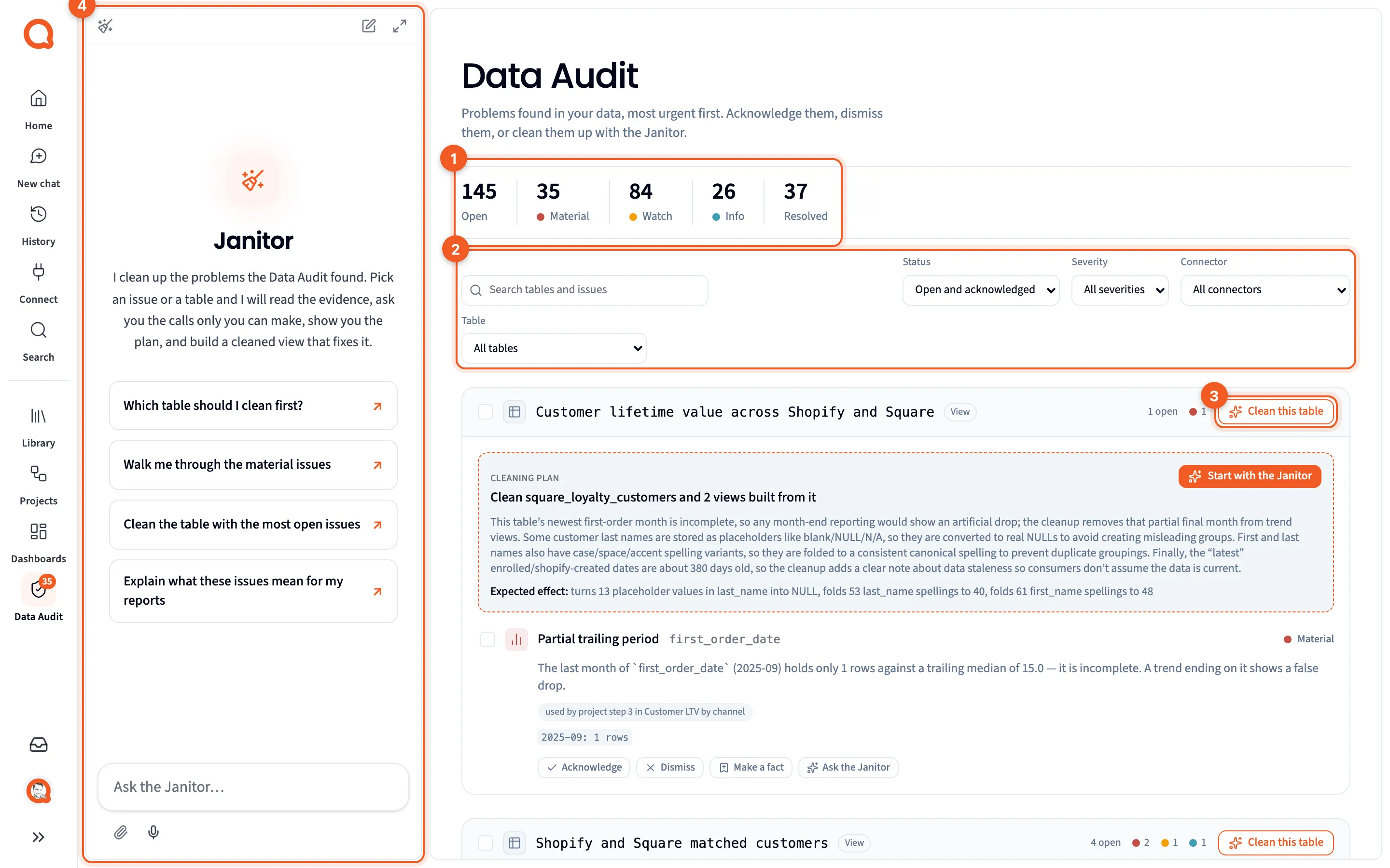 The Data Audit page, with the Janitor in the chat panel on the left
