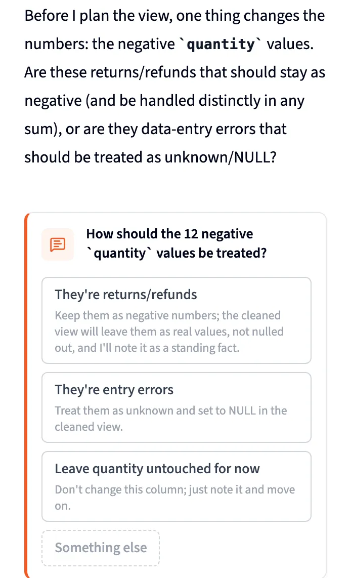 The Janitor asking whether negative quantities are refunds or entry errors